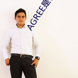 AGREE是什么意思(思)