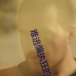 难逃偏执狂的宠爱