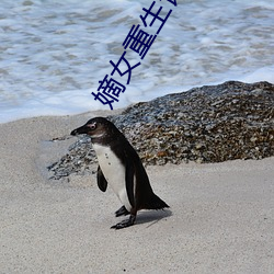 嫡女重生记