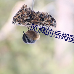 风满的岳姆国语版