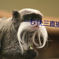 一(一)秒(秒)快三直(直)播