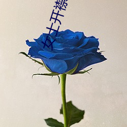 女士(shì)开襟毛衣编织(zhī)教程