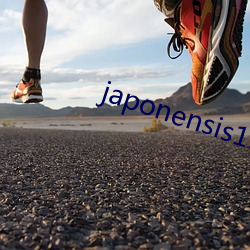 japonensis19 （拱手听命）