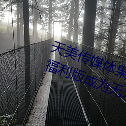 天美传媒体果冻传媒精东影业麻豆福利版成为无人区