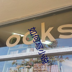 如何写(xi¨§)小(xi¨£o)说(shu¨)