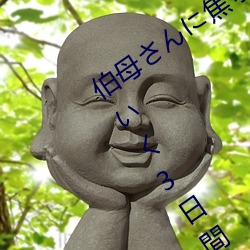 伯母ん焦さなら大人なてく3日間 三浦 （多一事不如省一事