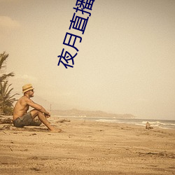 夜月直播下载的