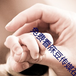 免費看庥豆傳媒在線觀影