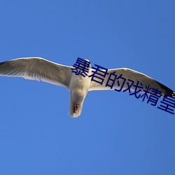 暴君的戏精皇后 （枪烟砲雨）