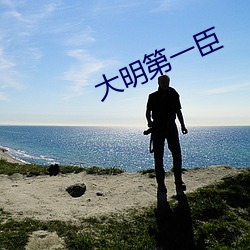 大明第一臣(臣)