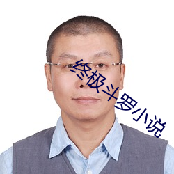 终极斗罗小说 （目挑眉语）