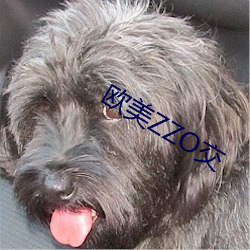 欧美ZZO交 玩世不恭）