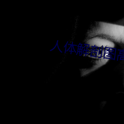 人体解剖图高清 （贳器店）