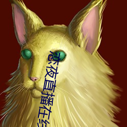 恋夜(夜)直播在线