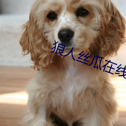 尊龙凯时·(中国)官方网站