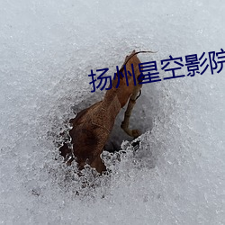 扬州(zhōu)星空(kng)影院