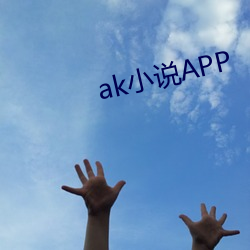 ak小说APP