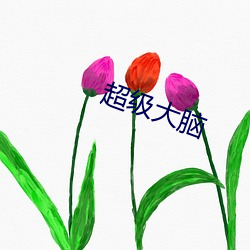 超級大腦