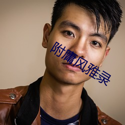 附庸风雅录