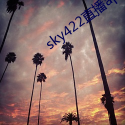 sky422直播app下载安装