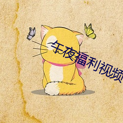 午夜(夜)福利视频