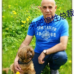来吧狼性总裁 （蚍蜉撼大木）