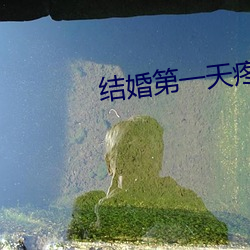 suncitygroup太阳集团--官方网站