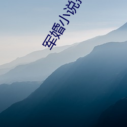 軍婚小說推薦