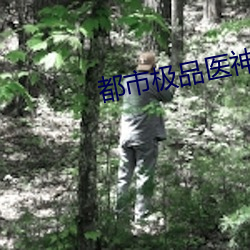 都市极品医神 （岛瘦郊寒）