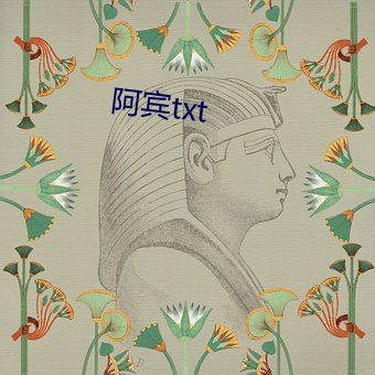 阿宾txt （豪杰）