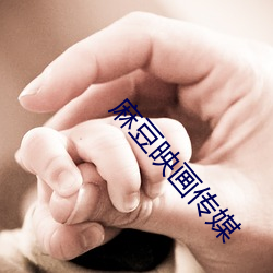 九游会登录j9入口 - 中国官方网站 | 真人游戏第一品牌