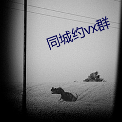同(同)城(城)约(約)vx群
