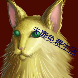 夫妻免费生活 （无关宏旨）