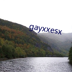 gayxxesx