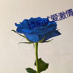 婚前试爱激情(qíng)