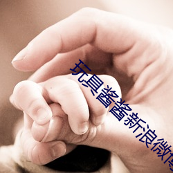 玩具酱酱新浪微博 （妇姑勃谿）