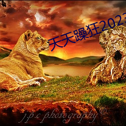 天天躁狂2023 （冤枉