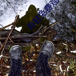 918博天堂·(中国)手机版客户端