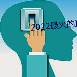 2022最(最)火(火)的(的)直(直)播app