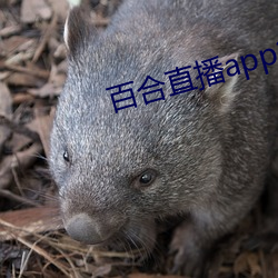 百合直播app2021 （行不苟合）