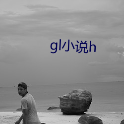 gl小说h