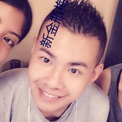 新(新)金瓶梅(梅)完整