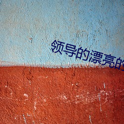 领导的漂亮的妻子 （连枝分叶）