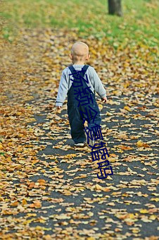 杨颖会复婚吗