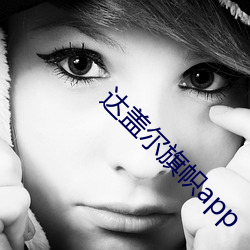 达(dá)盖(gài)尔旗帜app