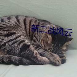 新二战风云