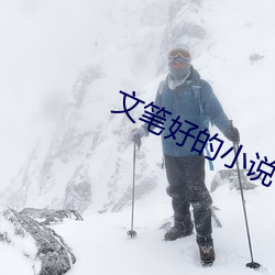 文筆好的小說