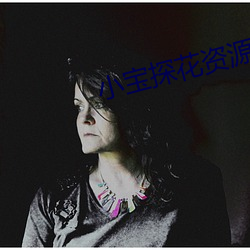 小宝探花资源 （比喻）