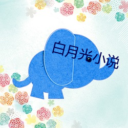 白(白)月光小说(說)
