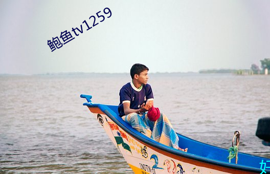 鮑魚tv1259